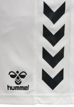 Hummel HMLCORE XK POLY - Kurze Sporthose - White 12 Hummel HMLCORE XK POLY - Kurze Sporthose - White -Sommerkleidung Für Damen d839e05092b945aabbfe5f66de0d0307